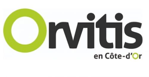 Orvitis